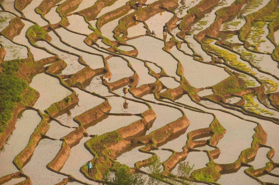 China intensifica produção agrícola e reduz importações de alimentos