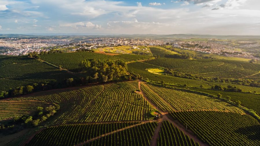 Estoques elevados e agro brasileiro: um alívio contra o Super El Niño