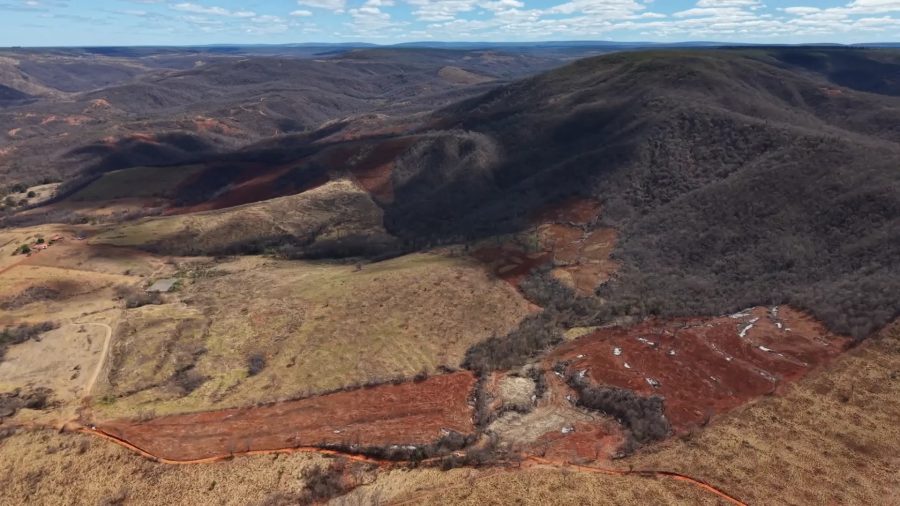 Desmatamento ilegal destruiu área equivalente a mais de 4 mil campos de futebol em MG, aponta operação