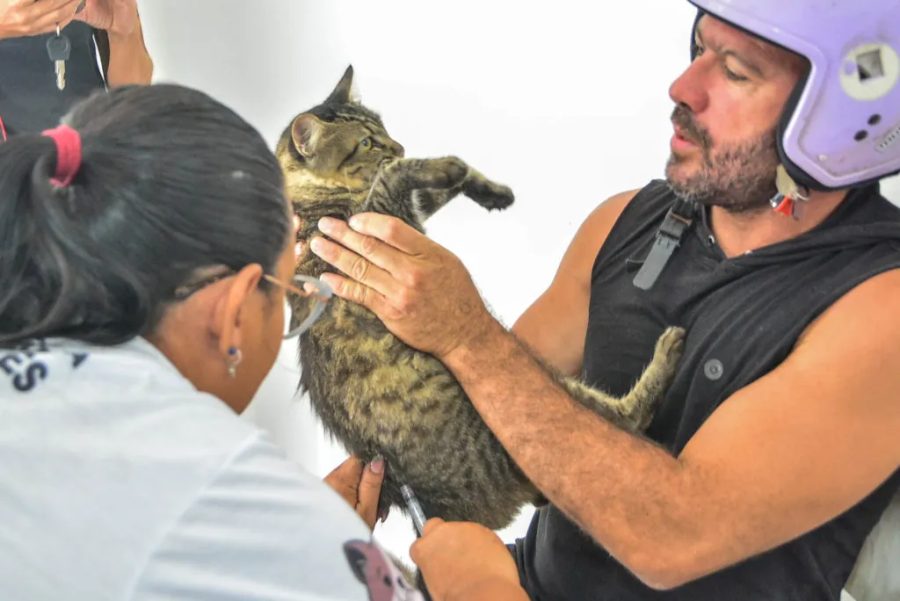 'Dia D' de vacinação antirrábica acontece neste sábado (29) na Paraíba; confira locais