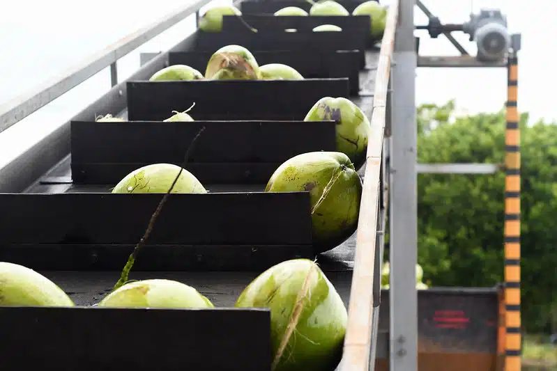 R$ 1 bilhão para projetos inovadores: saiba como acessar os recursos