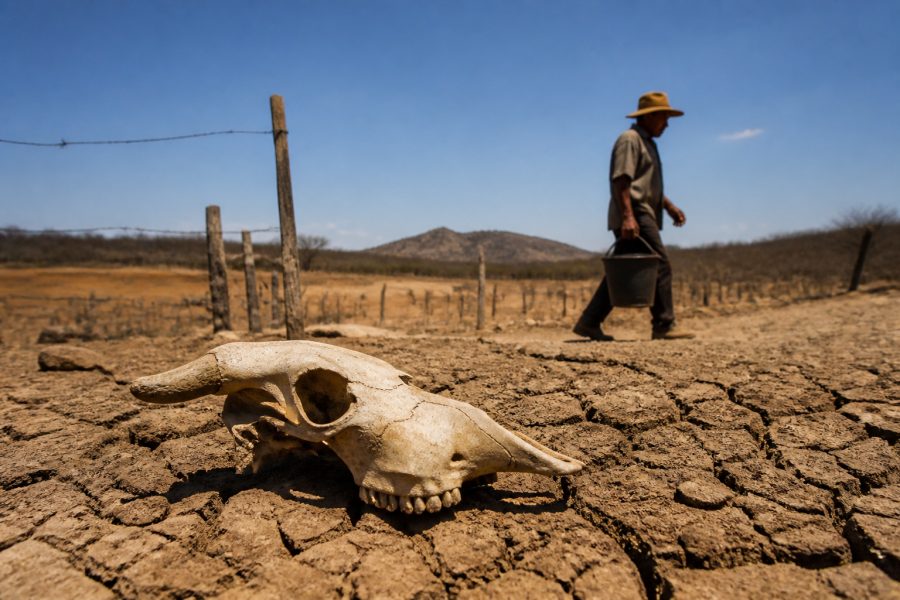 Estiagem acende alerta no Norte de Minas, e governador assina decreto que cria Comitê El Niño