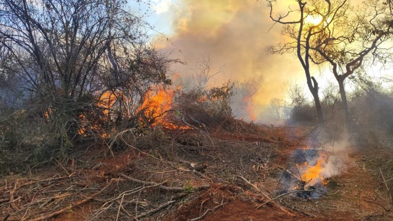 Força-tarefa utiliza máquinas pesadas em combate a incêndio em MG