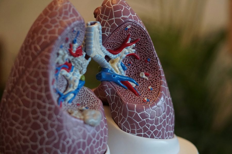 Microplásticos em pulmões: estudo revela ligação com câncer
