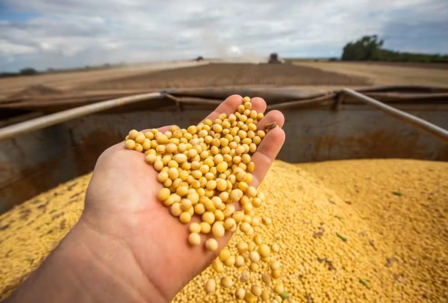 Crescimento do PIB brasileiro é de 0,5% no 2º trimestre de 2026