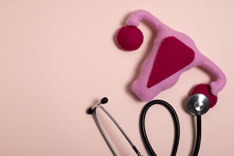 Desigualdade no Atendimento Ginecológico para Mulheres Lésbicas