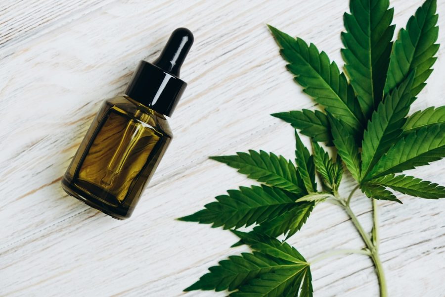Cannabis: THC pode reduzir agressividade de células de câncer de mama