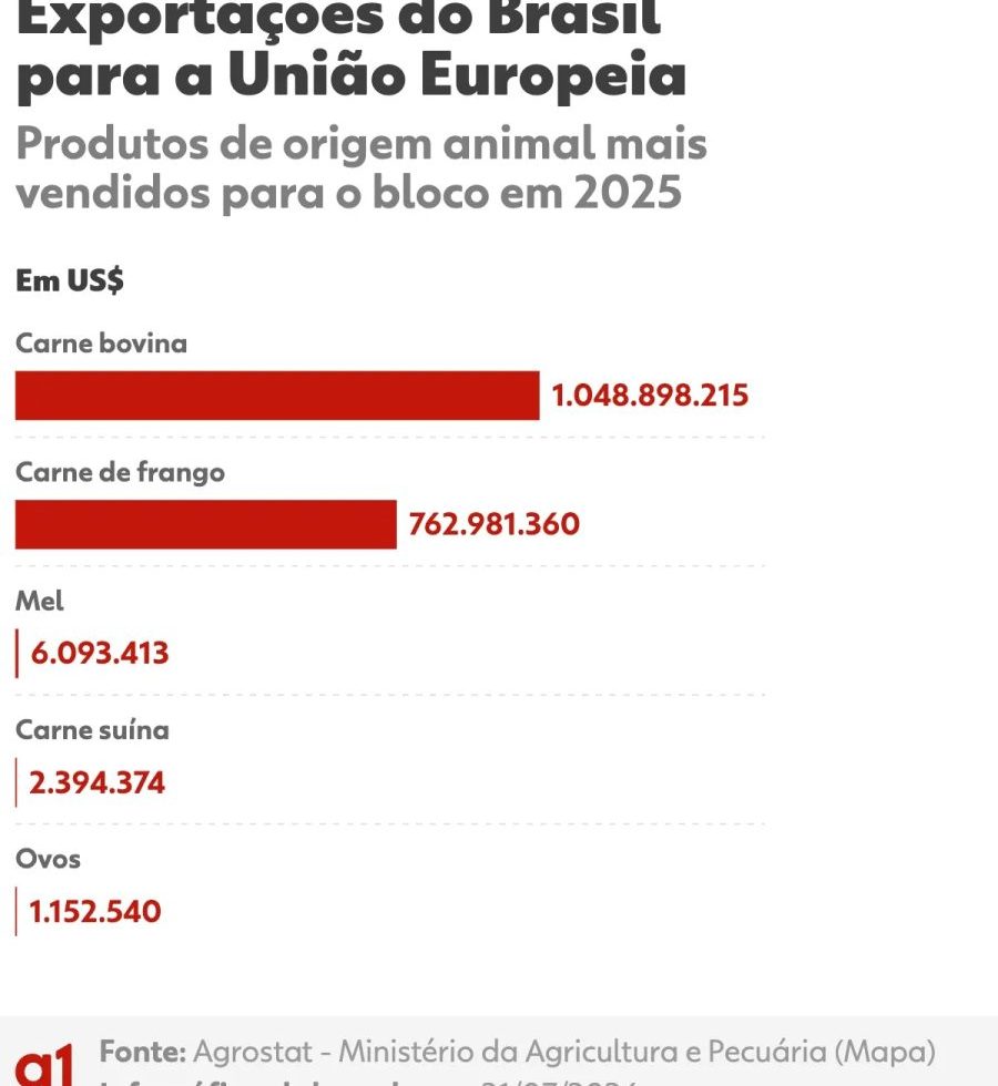 UE suspende importação de carne do Brasil por dois anos; saiba mais